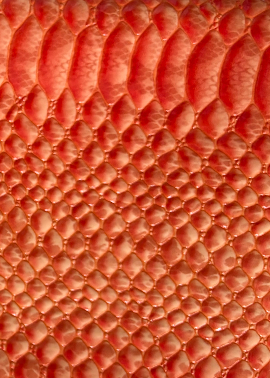 Ti Nette